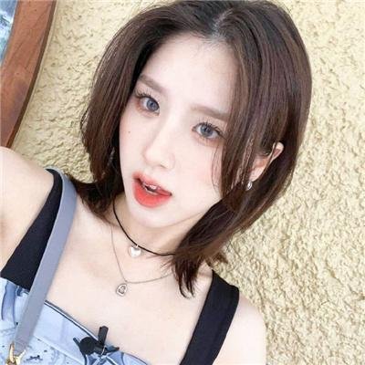 赖猫的狮子倒影